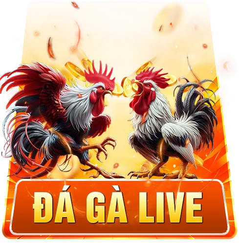 U888 – Thiên Đường Đầu Tư Kiếm Thưởng Trực Tuyến 2025 U888 – Thiên Đường Đầu Tư Kiếm Thưởng Trực Tuyến 2025